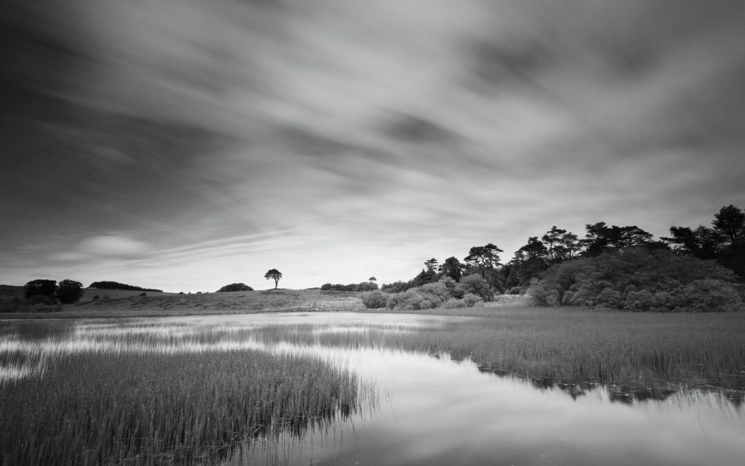 Qu&rsquo;est-ce que la tradition orale ?